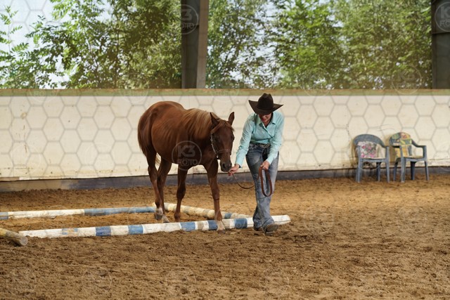 sK3F07165.JPG